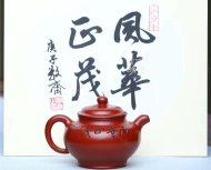 《風(fēng)華正茂》
