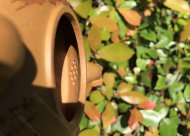 稱心如意；金葵段泥220CC