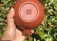 樹樁葡萄壺；朱泥380CC