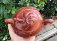 《魚化龍套組》