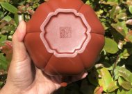 葵仿古；大紅袍450CC