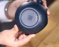 《魚(yú)躍龍門(mén)》